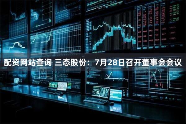 配资网站查询 三态股份：7月28日召开董事会会议